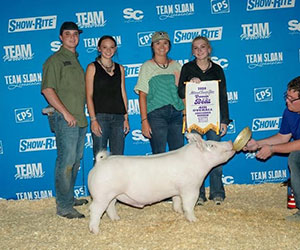 Top Cut Champions